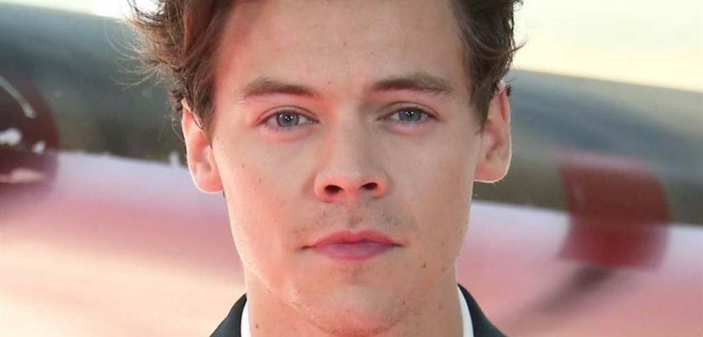 Harry Styles’ Fashion: The Masculinity Crisis And Non-White Queer Erasure